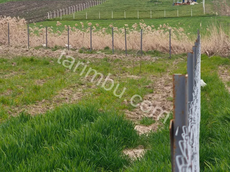 SÜLOĞLU GEÇKİNLİ'DE YATIRIMLIK TARLA