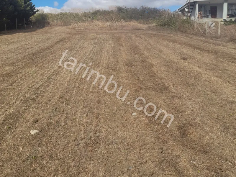 1800 metre kare elektirigi suyu hazir etrafinda yapilar mevcut köye yakin yola 800mt.